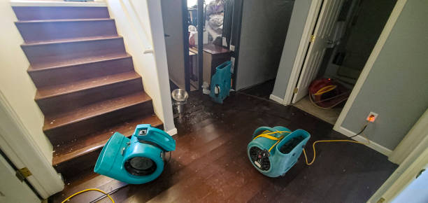 Best 24/7 water damage repair  in Rumson, NJ