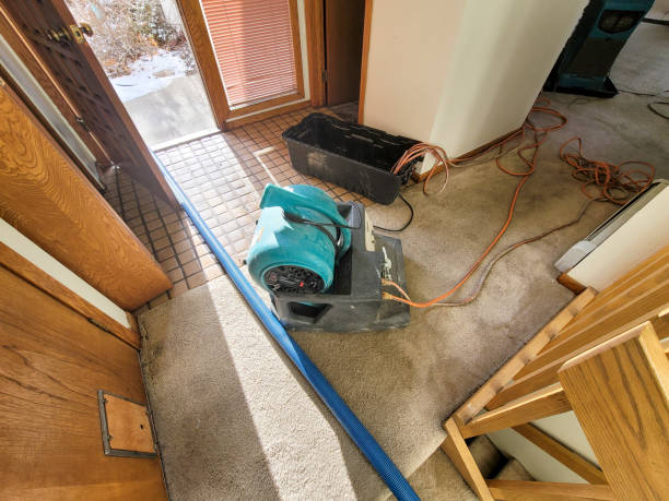 Best Fire Damage Restoration  in Rumson, NJ