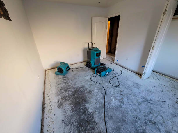 Best 24-hour water damage restoration  in Rumson, NJ