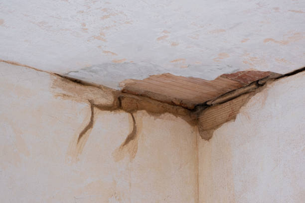 Best 24/7 water damage repair  in Rumson, NJ