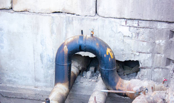Best Water damage mitigation services  in Rumson, NJ
